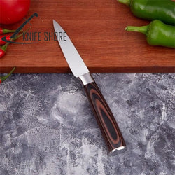 PROFESSIONAL JAPANESE 7CR17 HIGH CARBON STAINLESS STEEL 5PCS KITCHEN KNIVES SET - knifeshore