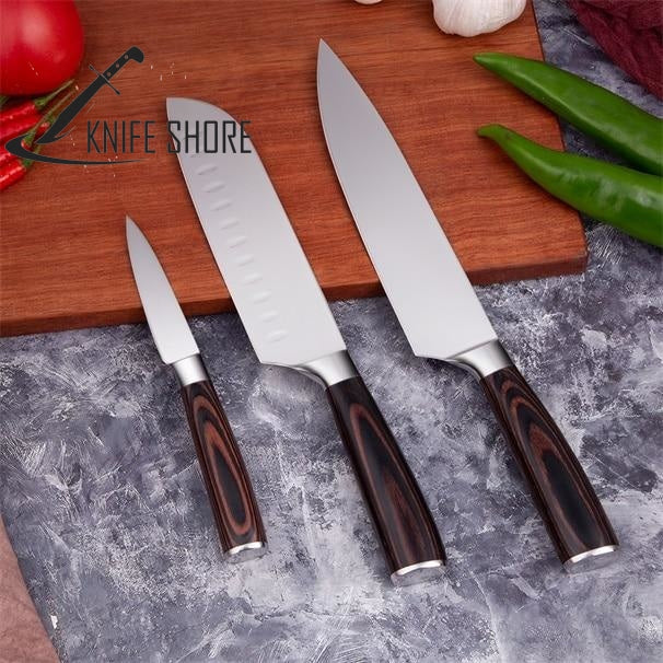 PROFESSIONAL JAPANESE 7CR17 HIGH CARBON STAINLESS STEEL 5PCS KITCHEN KNIVES SET - knifeshore