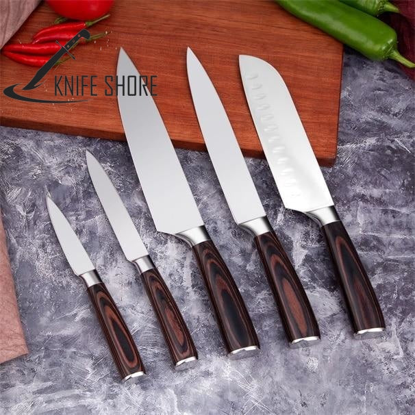 PROFESSIONAL JAPANESE 7CR17 HIGH CARBON STAINLESS STEEL 5PCS KITCHEN KNIVES SET - knifeshore